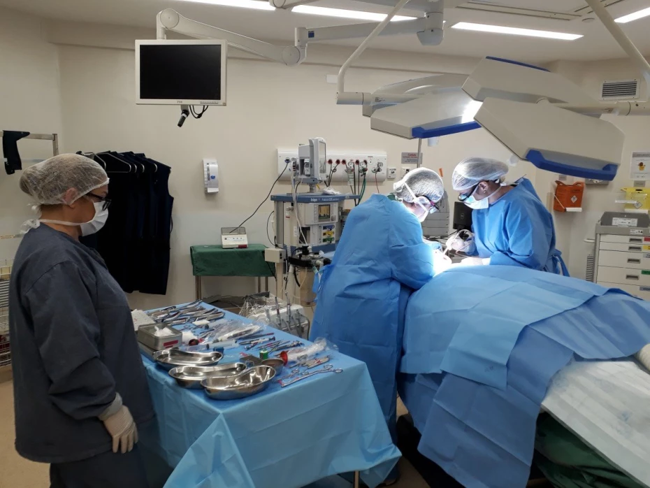 Foto 13:  — Padoan - Odontologia para especiais